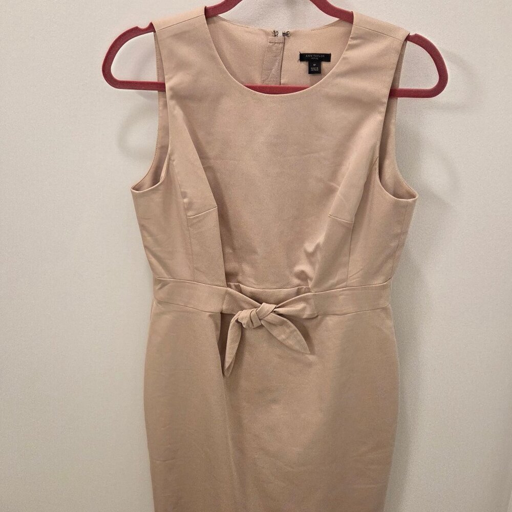 Ann Taylor light pink work dress